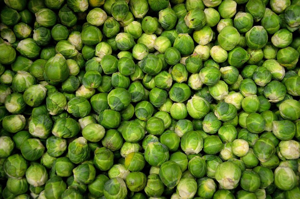Oeorganics - Roasted Brussels Sprouts